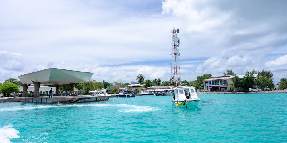 Khám Phá Thế Giới Cá chơi ngay Đổi Mới Cùng https//vuabet88xn.com/ – Trang Web Đánh Bại Mọi Thử Thách